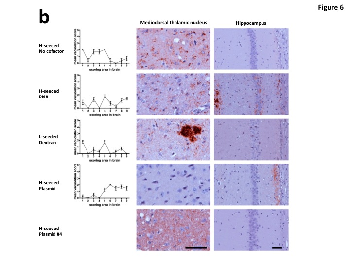 Acta Neuropathologica 1.jpg